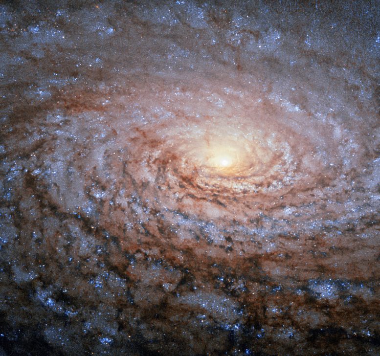 Hubble Views the Sunflower Galaxy