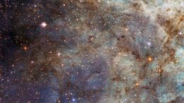Hubble Views the Tarantula Nebula