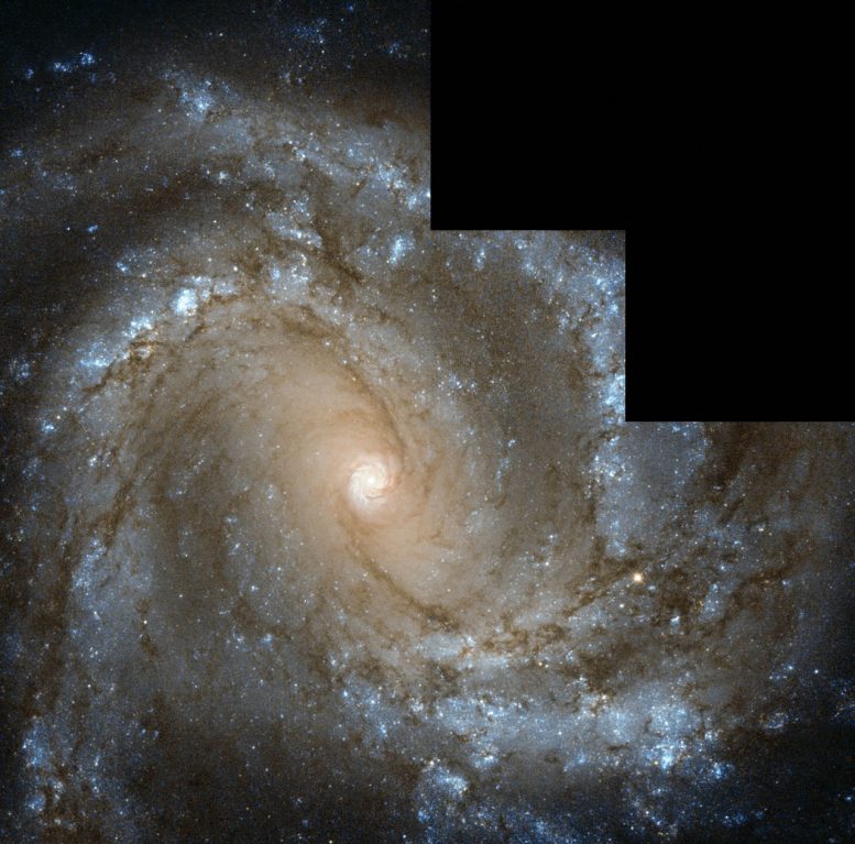 Hubble Zooms in on Messier 61