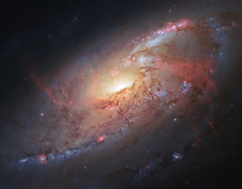 Hubble Observations of Galaxy M 106
