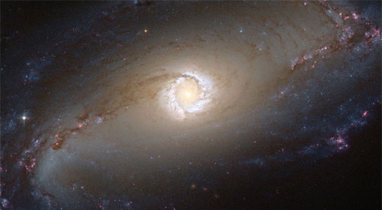 hubble views spiral galaxy NGC 1097