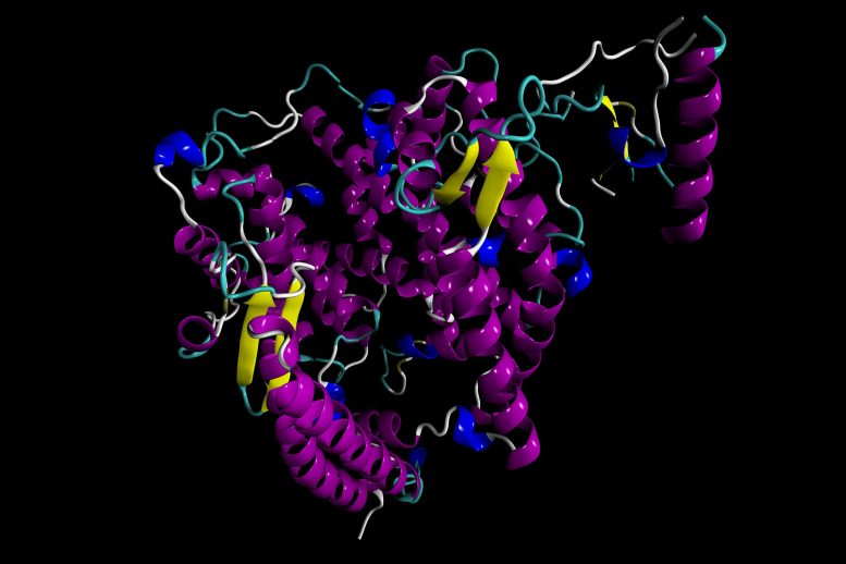 Human ACE2 Enzyme
