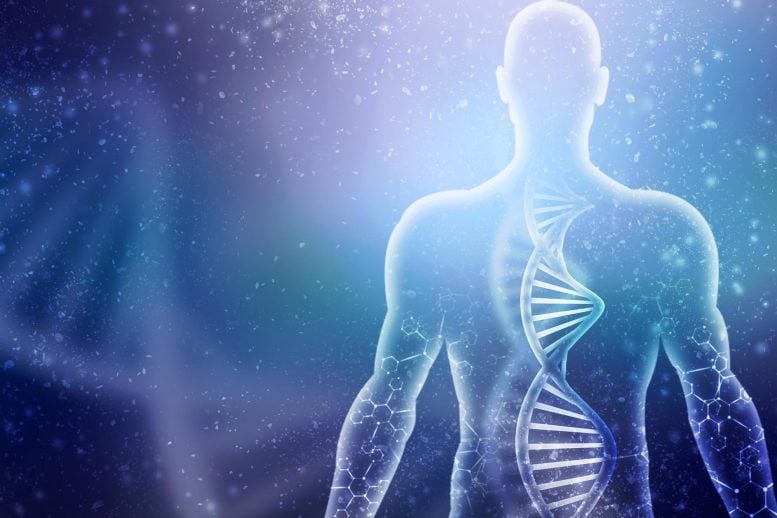 Hibernator “Superpowers” Could Help Humans Treat Diabetes and Alzheimer’s