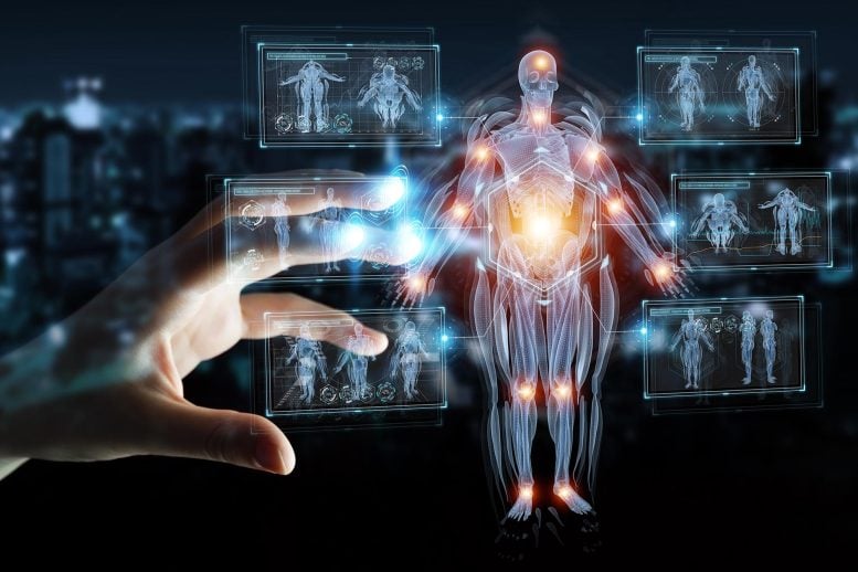 Human Body Hologram Medical Imaging Scan
