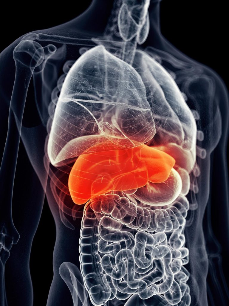 Human Body Liver.Pain Disease