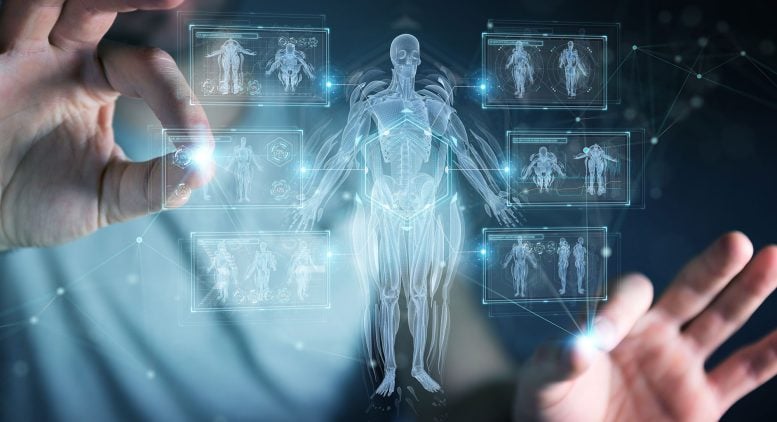 Human Body X Ray Medical Analysis