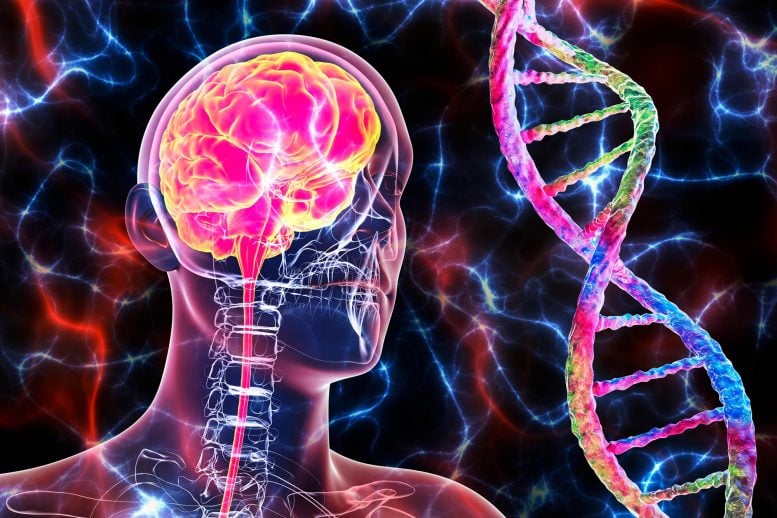Scientists Say One Gene Could Be Behind up to 93% of Alzheimer’s Cases