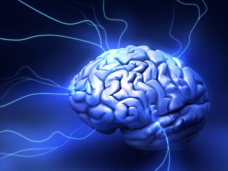 Human Brain Energy Concept Illustration