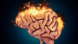 Human Brain Fire Damage Pain Concept