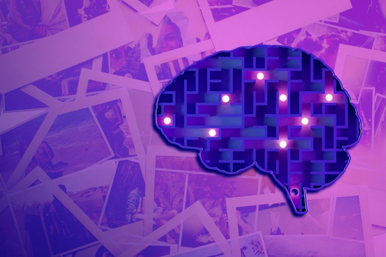 Human Brain Huge Storage Capacity