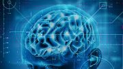 Human Brain Improvement Technology Illustration