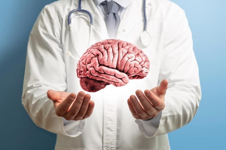 Human Brain Model Over Doctor’s Hands