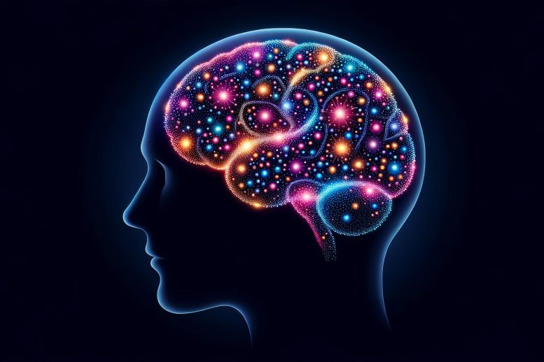 Human Brain Organization Concept Illustration