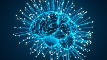 Human Brain Signals Connection Concept Illustration