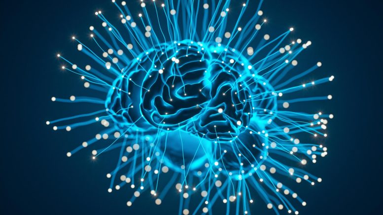 How does this research change the understanding of the 'Autism Spectrum'? How does this research change the understanding of the 'Autism Spectrum'?