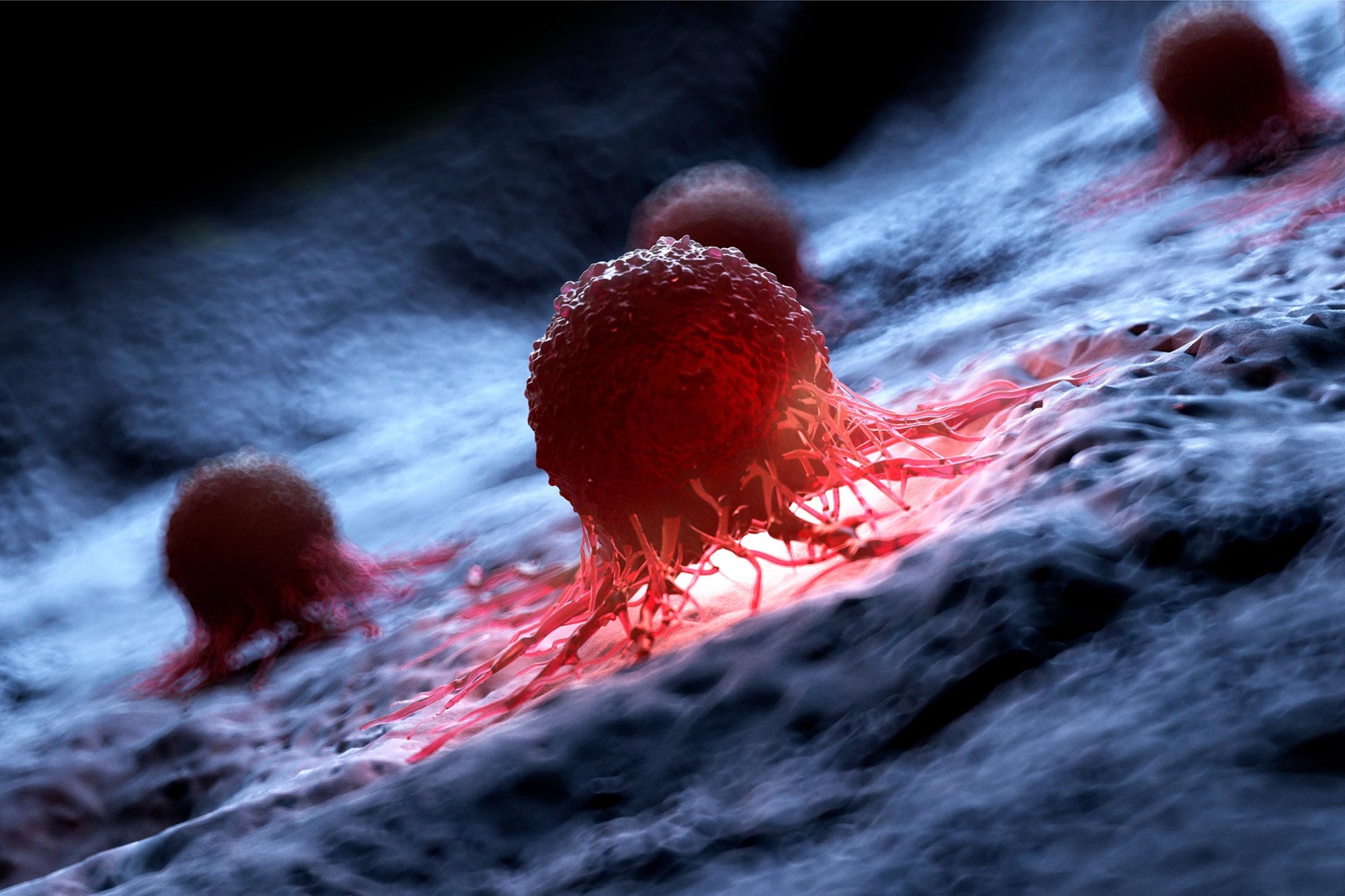 Human cancer cell illustration