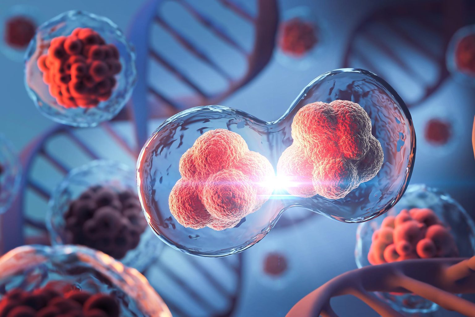 Textbooks Challenged: Scientists Discover New Mechanism of Cell Division