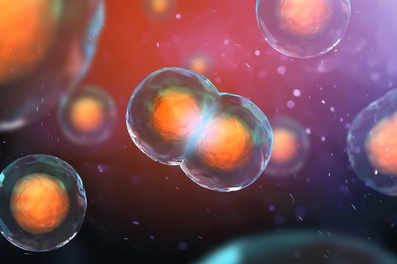 This Hidden 3D DNA Structure Changes What We Know About Cells