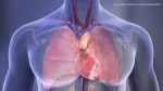 Human Chest Cavity Illustration