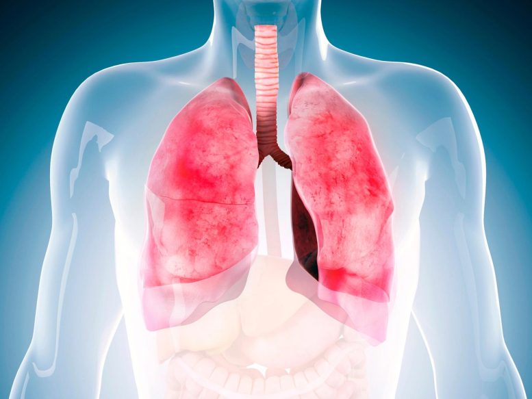 Biochemistry Breakthrough May Soon Have Asthmatics Breathing Easier