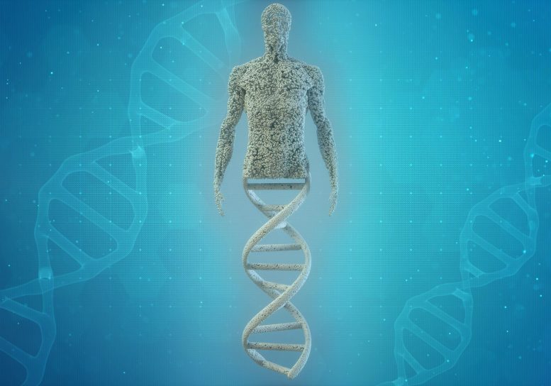 Human DNA Concept