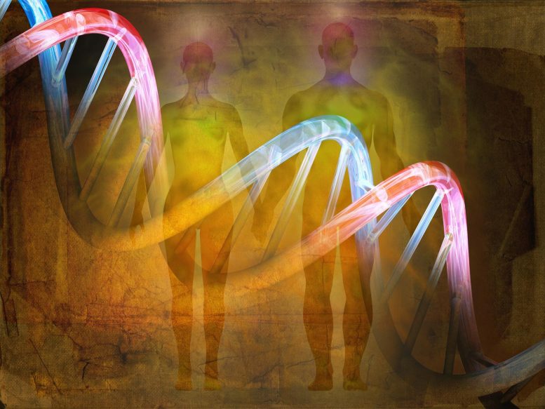 Human DNA Evolution History Concept