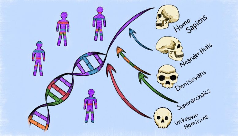 Human DNA Inherited From ‘Ghost’ Ancestors