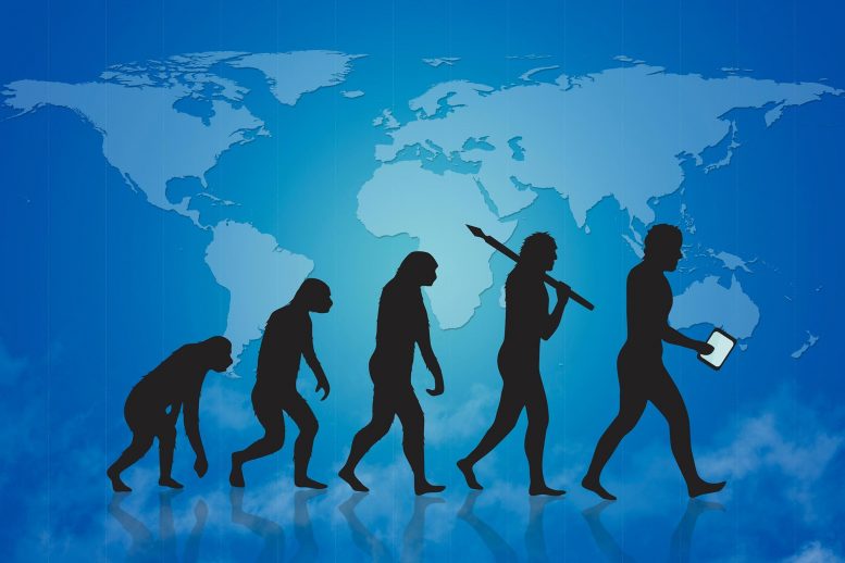 Human Evolution Concept