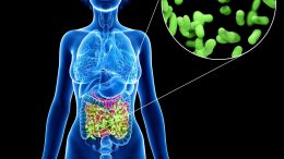 Human Gut Bacteria Concept