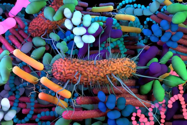 Células de bactérias do microbioma do intestino humano