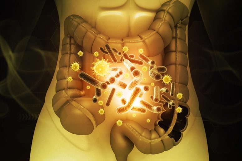 Human Gut Microbiome Diversity Infection Pathogens