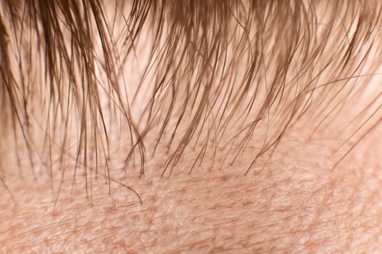 Human Hair Close Up