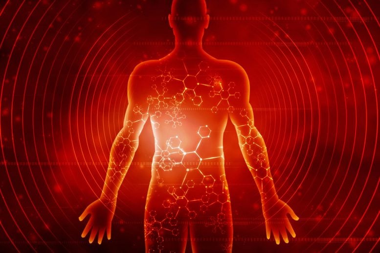 Human Health Longevity Strength Boost Biochemistry Technology