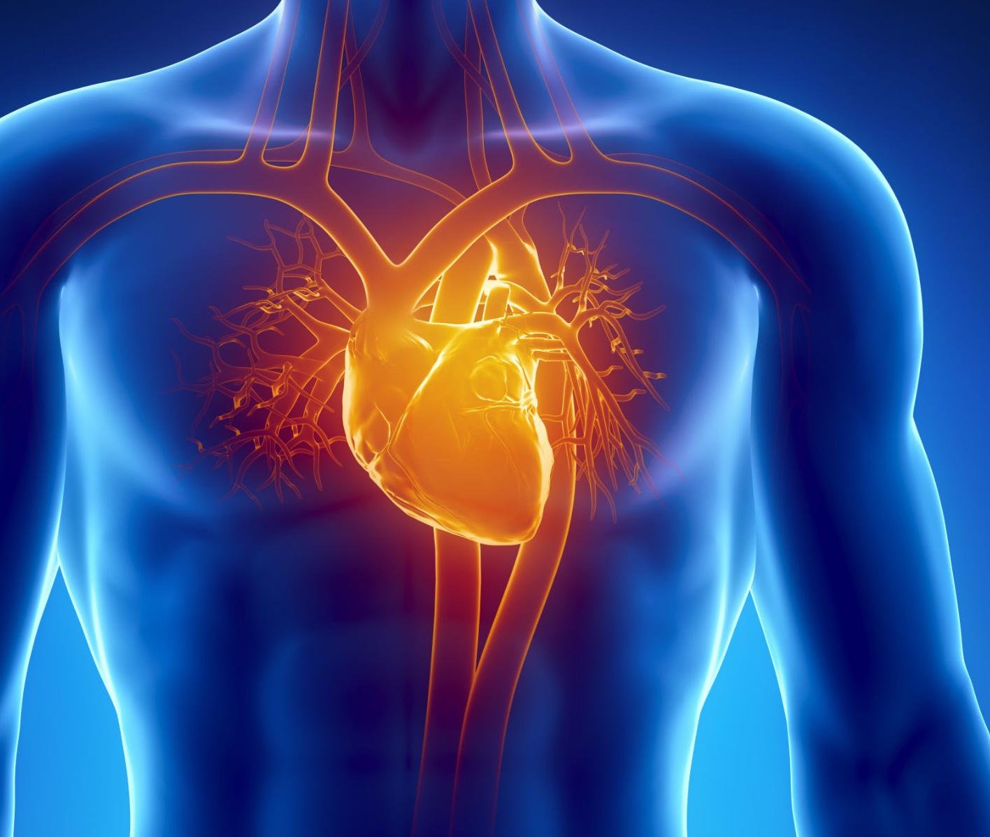 Photo of Nový výskum naznačuje, že svetelná terapia môže spomaliť starnutie kardiovaskulárneho systému