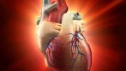 Human Heart Inflammation Disease