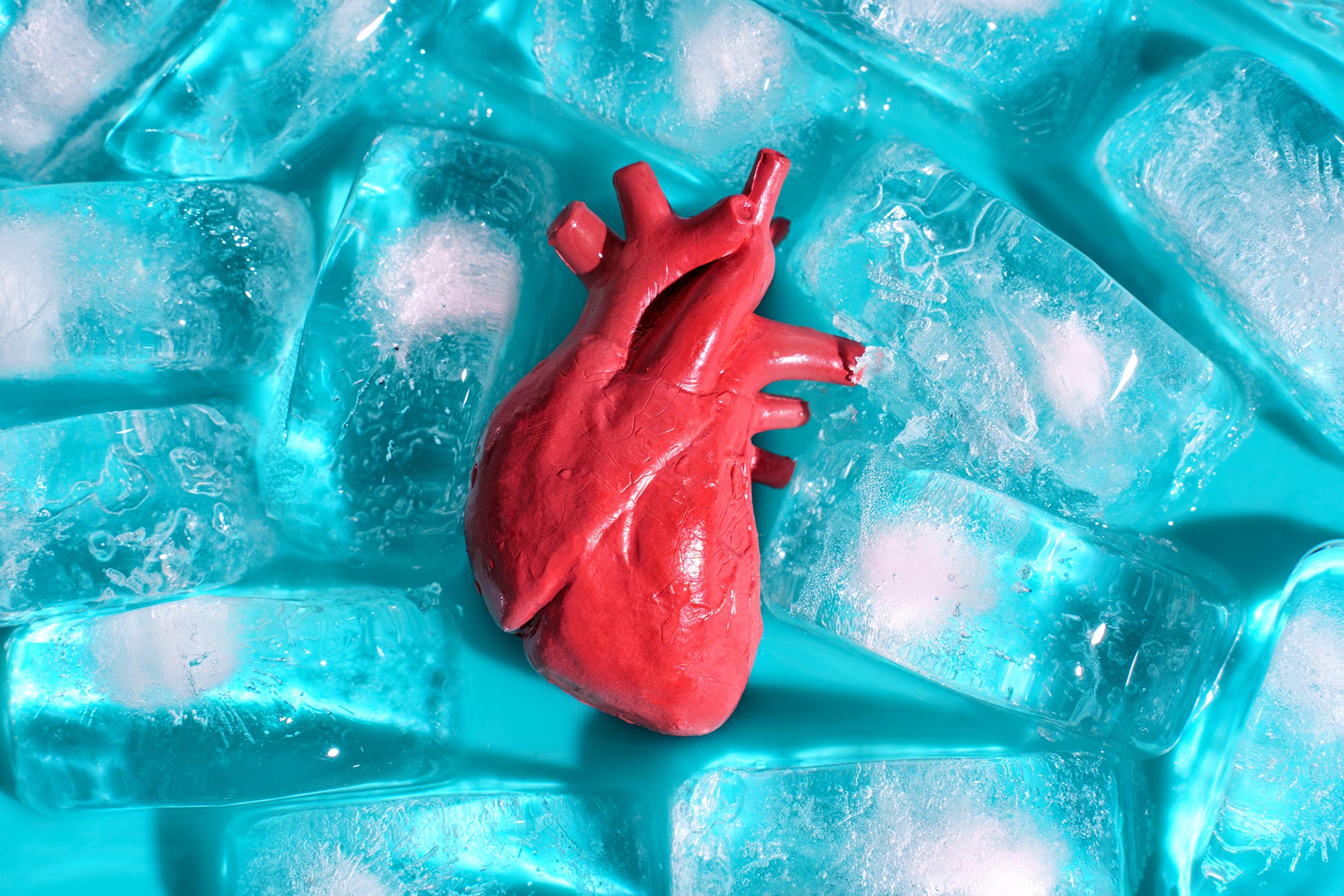 A 100-Year-Old Problem Solved? Scientists Discover How To Freeze Organs Without Cracking Them