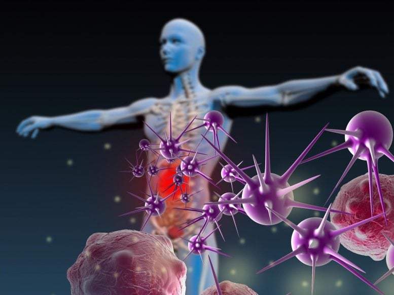 Human Immunity Infectious Diseases Illustration