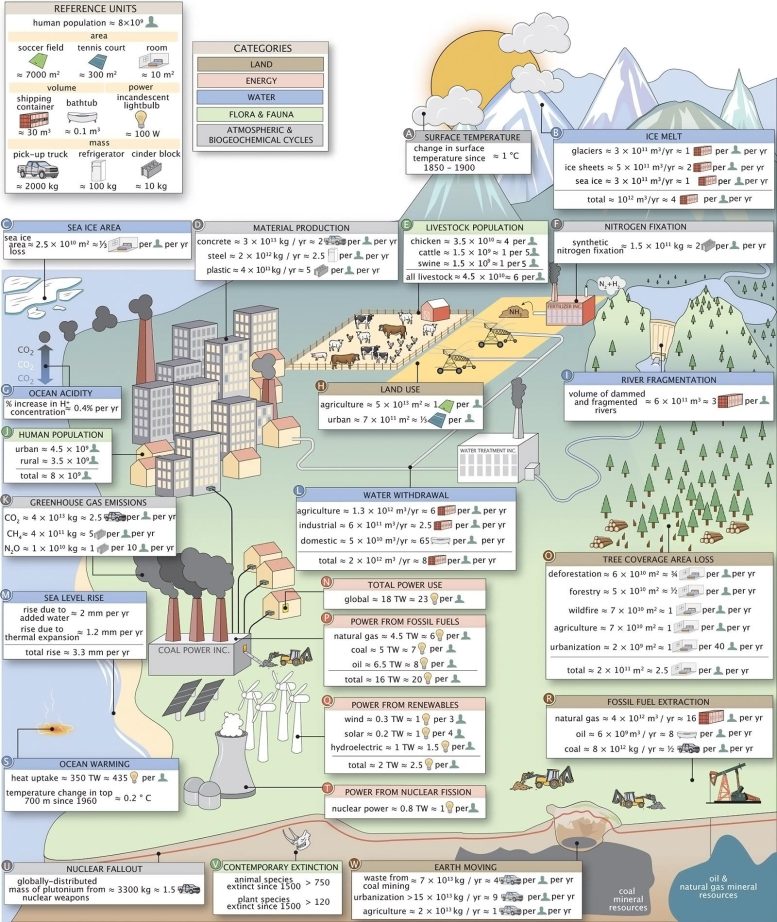 Human Impacts on the Environment Infographic