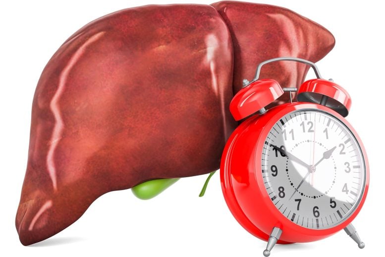 Human Liver Gallbladder Alarm Clock