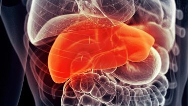 Intermittent Fasting May Prevent Liver Cancer, New Research Shows