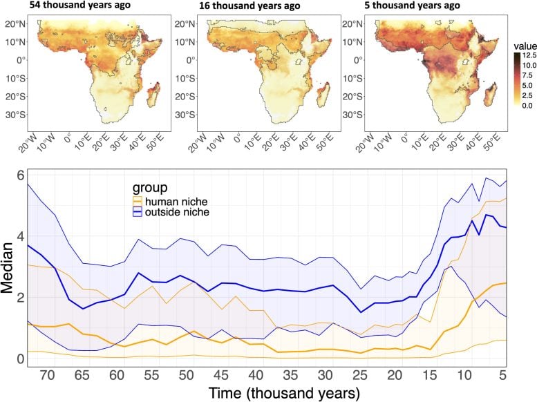 Human Niche and Potential Malaria Transmission Risk Through Time