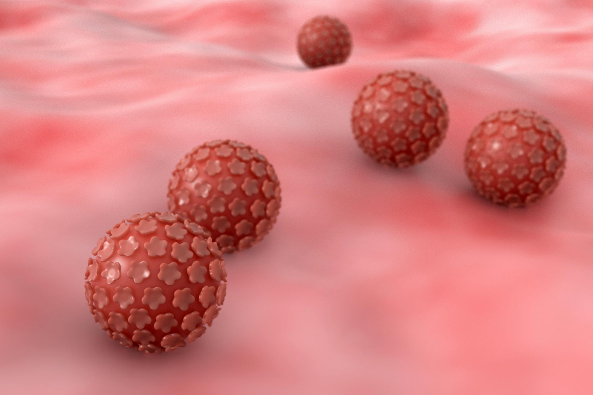 Human Papilloma Viruses (HPV) Illustration