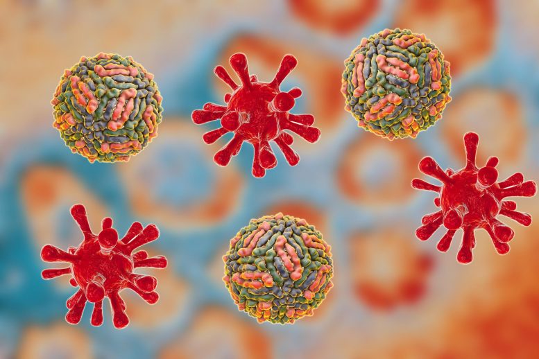 Human Pathogenic Viruses Illustration