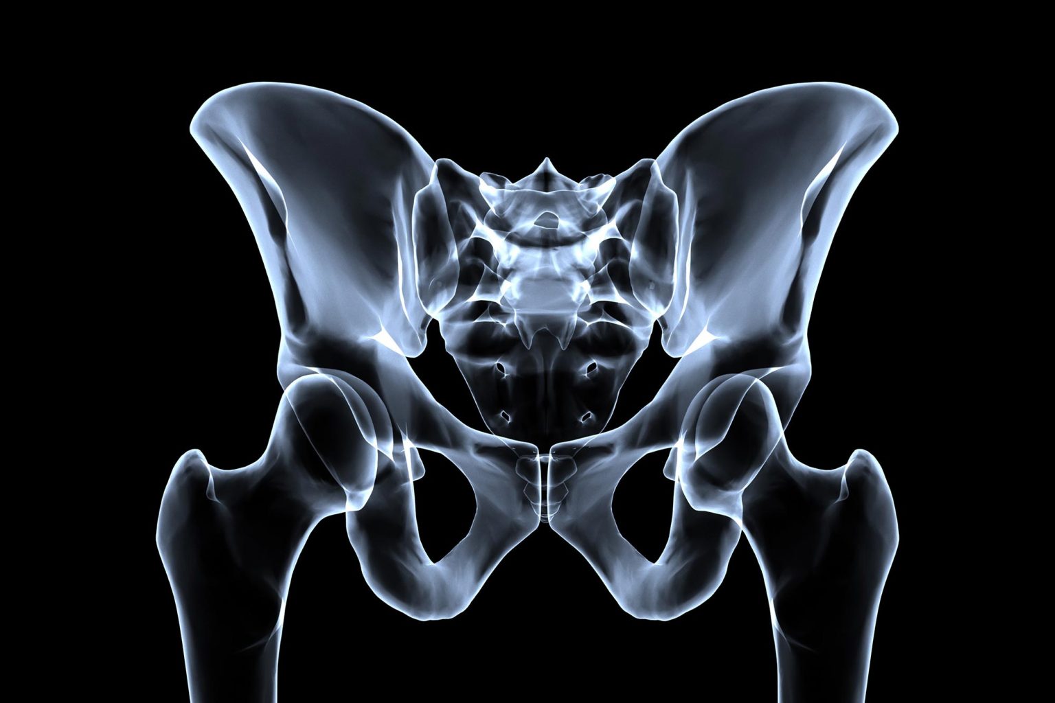 Why Do Humans Walk Upright Harvard Biologists Reveal The Secret