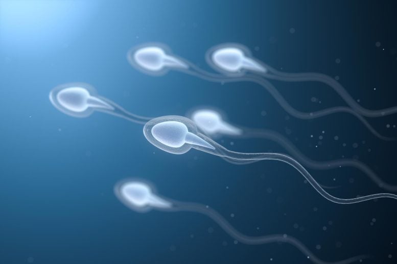 Scientists Discover Sperm Seem To Bypass a Fundamental Law of Physics