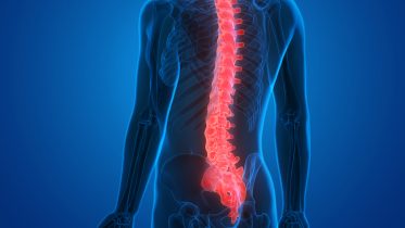 Remarkable Findings – New Research Reveals That the Spinal Cord Can Learn and Memorize