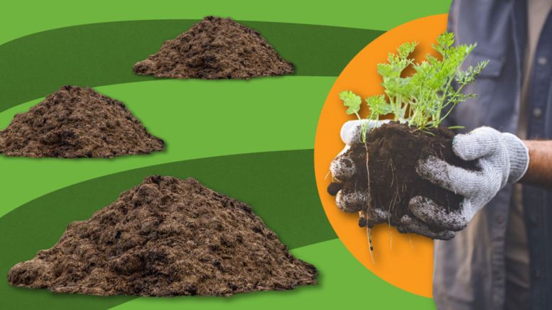 Human Waste Could Slash Synthetic Fertilizer Use