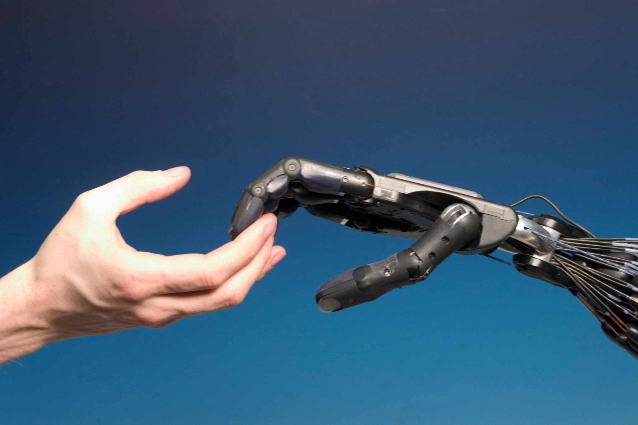 Shadow Robot: AI Algorithms Bring Robot Hands One Step Closer to Human ...