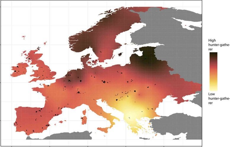 Hunter Gatherer Ancestry Across Europe