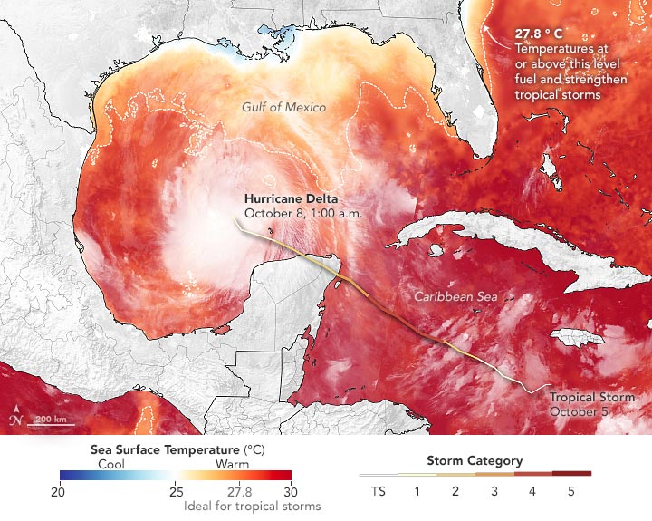Hurricane Delta Sea Surface Temperature Annotated